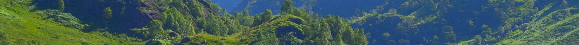 plant extract supply5