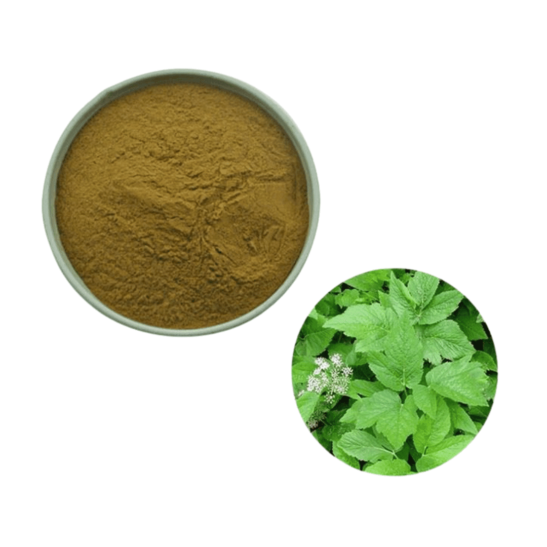 Aegopodium Podagraria Extract Powder