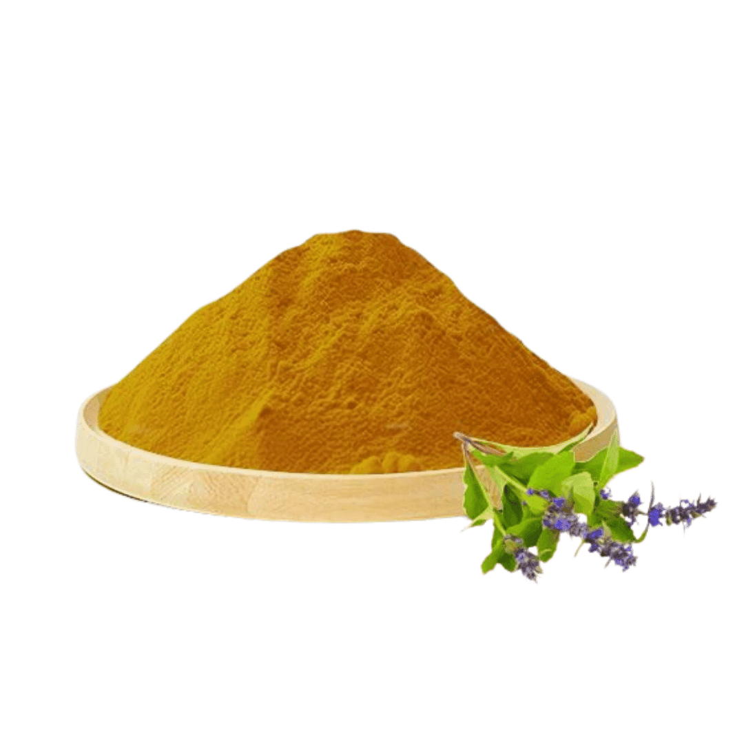 Ajuga Turkest Extract Powder
