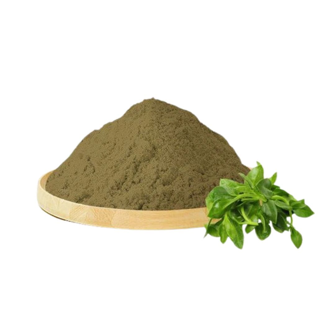 Andrographis Extract Powder