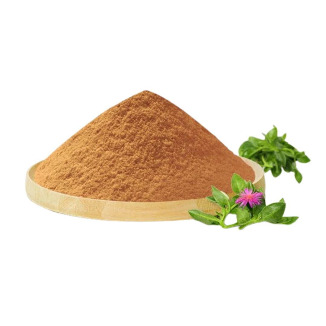 Andrographis Paniculata Extract Powder
