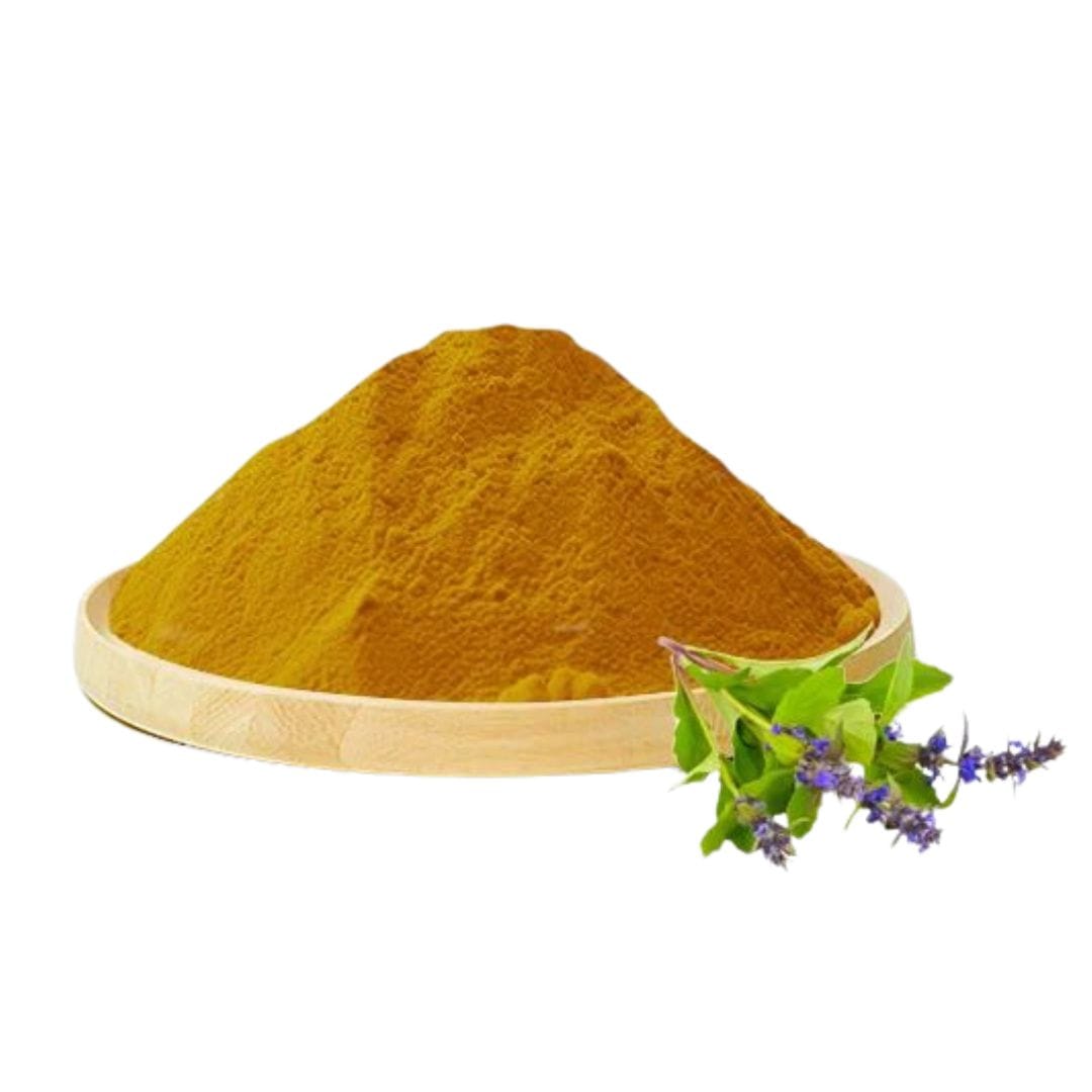 Ajuga Turkest Extract Powder
