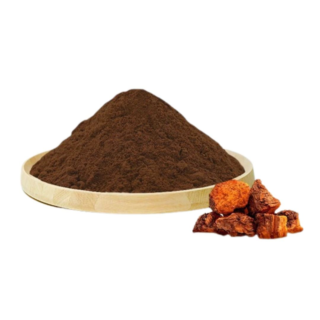 Chaga Mushroom Extract Powder