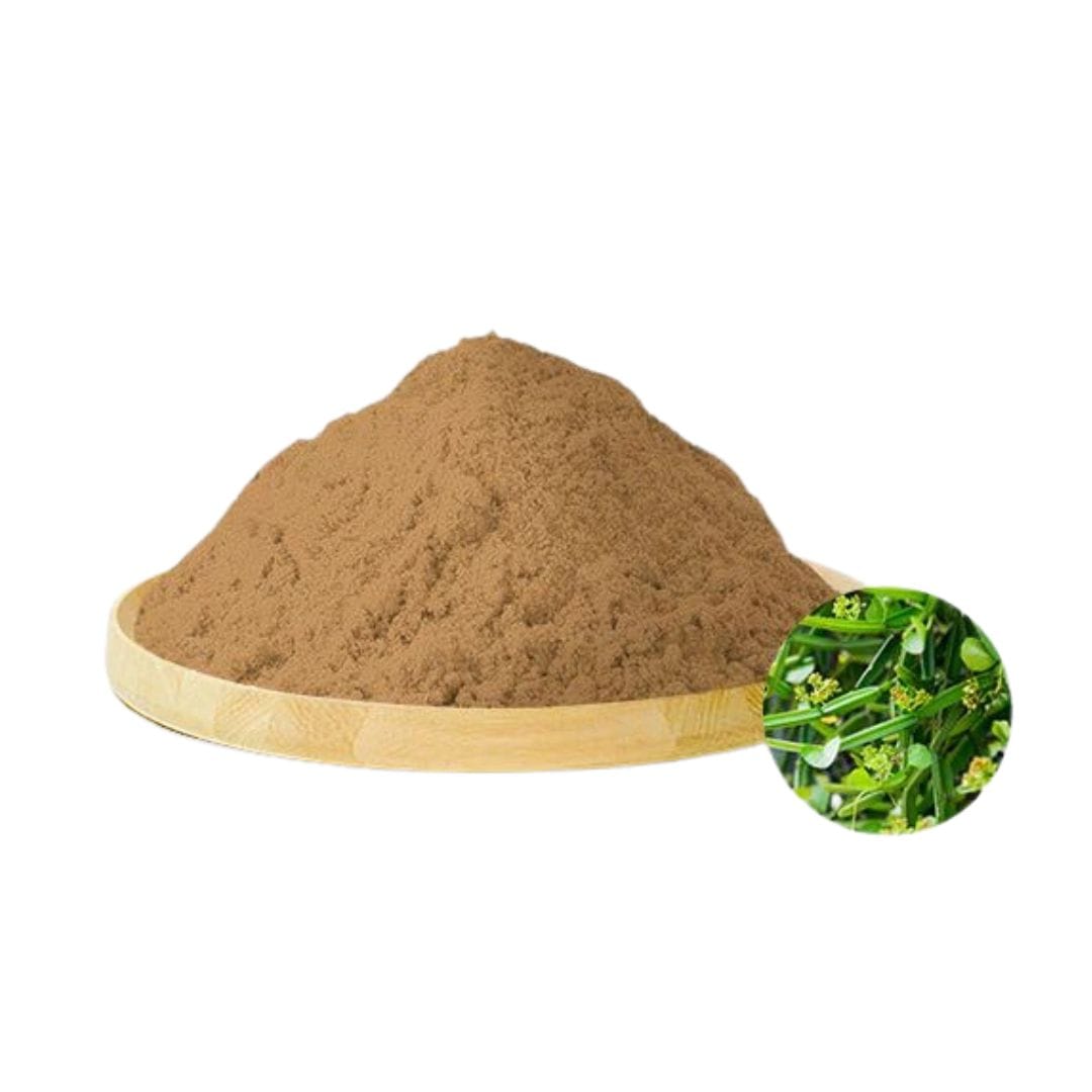 Cissus Quadrangularis Extract Powder