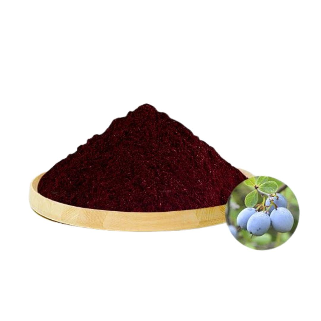 Wild Blueberry Extract Powder