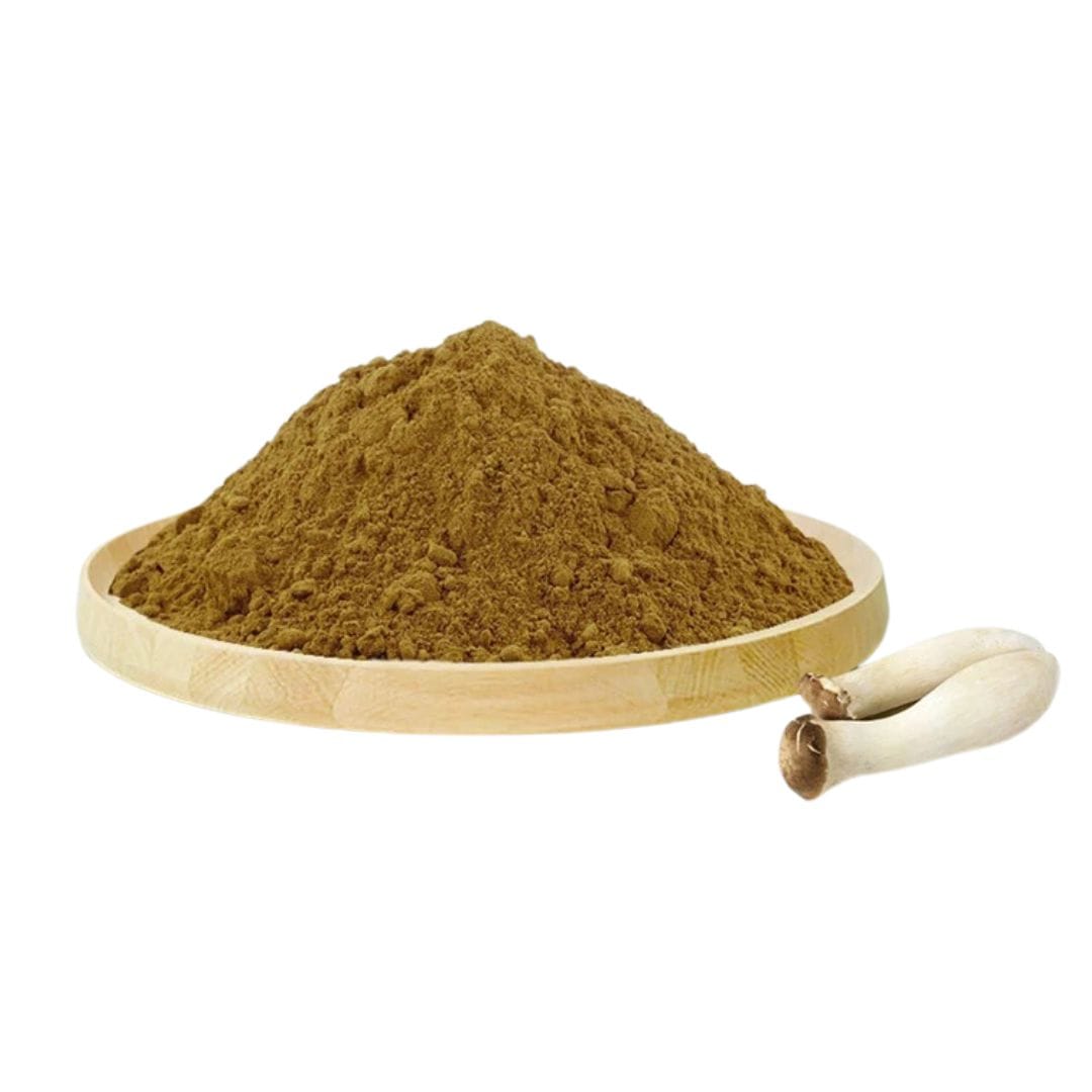 Coprinus Comatus Mushroom Extract