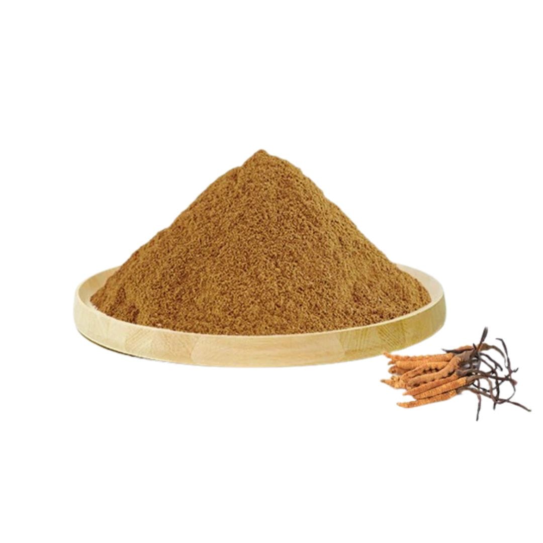 Cordyceps Sinensis Extract