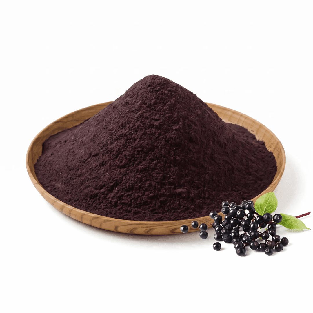 Elderberry Extract Powder